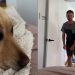 Sweet Video Shows Dog Patiently Waiting for Dad To Tuck Him in for a Nap