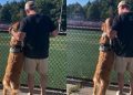 Golden Retriever Is a Little Too Thrilled to Watch Big Brother Play Soccer
