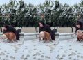 Video: Rescue Dog Reacts To Seeing Snow for the First Time