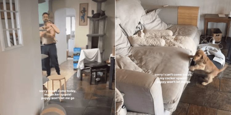 Video: Puppy Tries to Keep Owner Home by Doing This