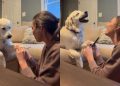 Video: Golden Retriever Wants to Do Everything Owner Does — Even Nail Trimming