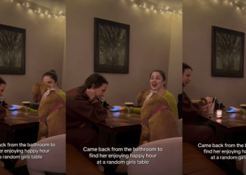 Golden Retriever Enjoys Her Happy Hour at a ‘Random Girls Table’
