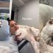 Owner Captures Dog’s Undeniable Love for Sleeping