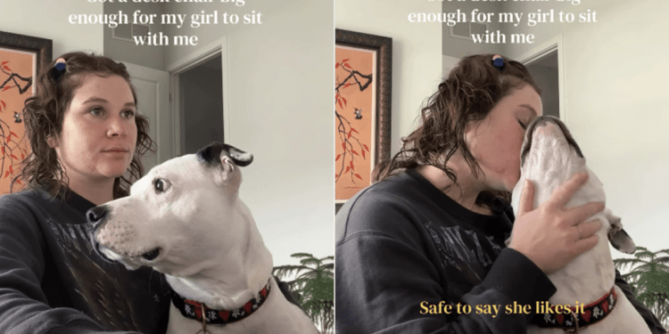 Dog Can Finally Fit in Mom’s ‘Big Enough’ Desk Chair While She Works