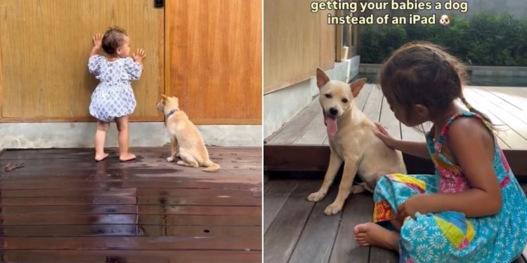 Dog Bonds So Well With Little Girls That Mom Recommends Adopting One